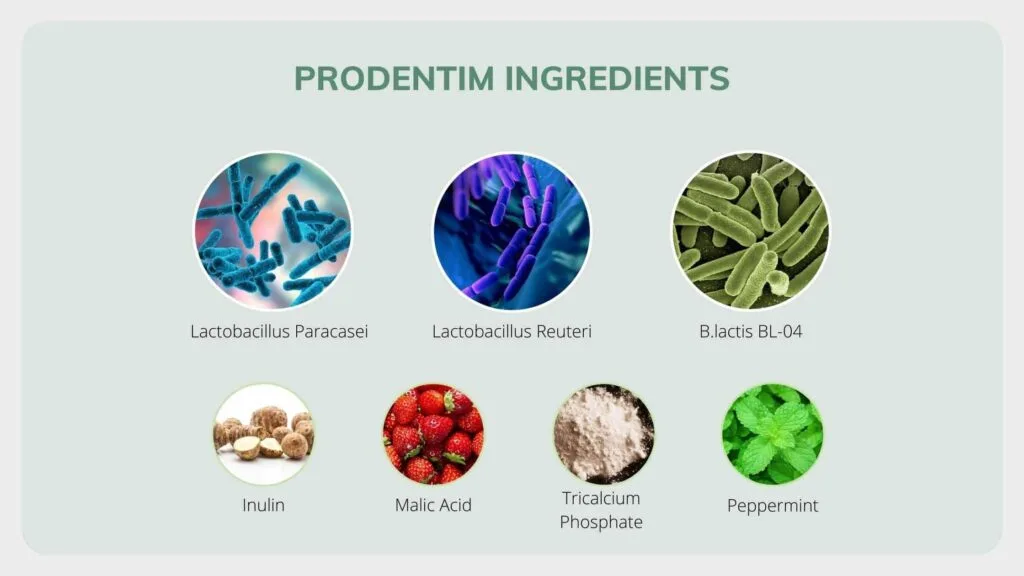 prodentim-ingredients